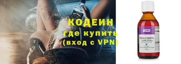 шишки Сатка