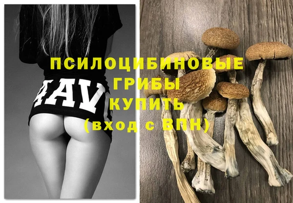 первитин Рославль