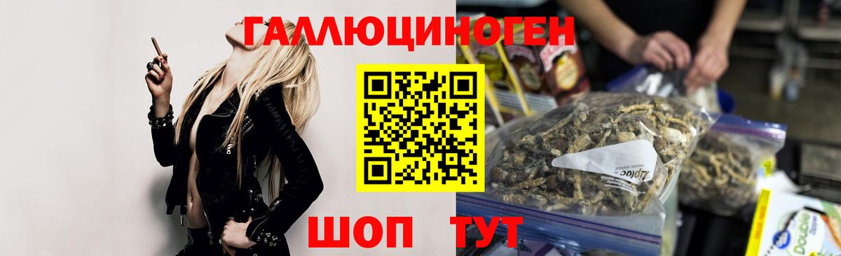 Псилоцибиновые грибы Psilocybine cubensis Юрга