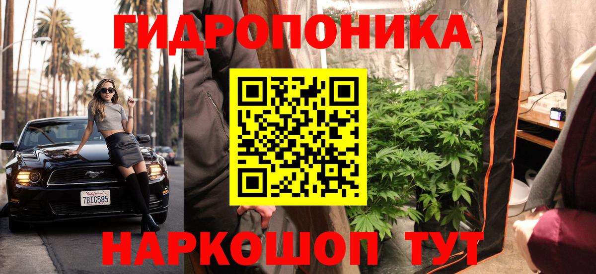 Марихуана план Юрга